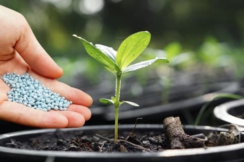 Período de transición para la aplicación de reglamentos para fertilizantes minerales